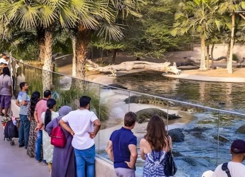 Dubai Crocodile Park